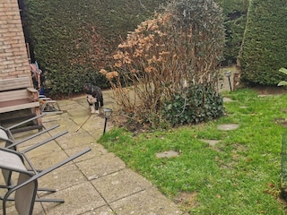 tuin