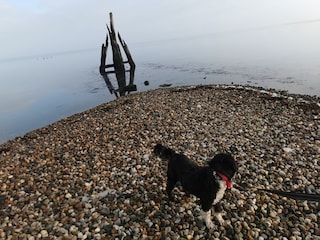 Grevelingenmeer