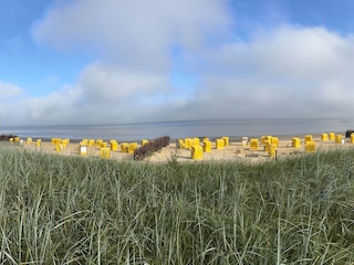 Strandkörbe