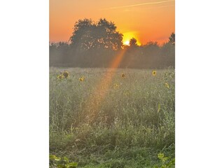 Holiday house Cuxhaven Environment 35
