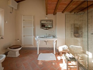 Villa Montescudaio Caratteristiche 16