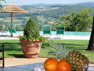 Villa Montescudaio Registrazione all'aperto 8