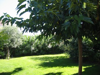 Casa per le vacanze Sérignan Registrazione all'aperto 4