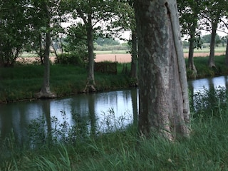 Casa per le vacanze Sérignan Ambiente 28