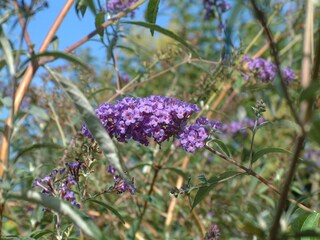 Casa per le vacanze Sérignan Registrazione all'aperto 7