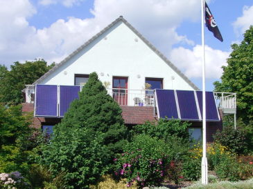 Ferienwohnung 4 Lachmöwe