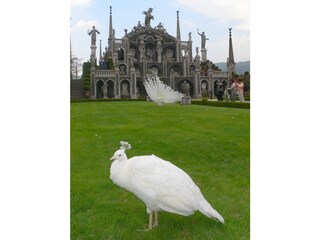 Appartamento per vacanze Tronzano Ambiente 15