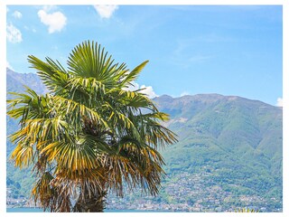 Vakantieappartement Tronzano Buitenaudio-opname 5