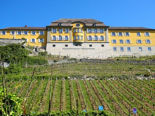 Appartamento per vacanze Immenstaad  19