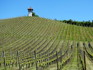 Appartamento per vacanze Immenstaad  20