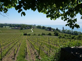 Appartamento per vacanze Immenstaad  22