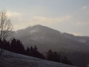 Ferienwohnung Vogtshof Panoramablick - Winden im Elztal - image1