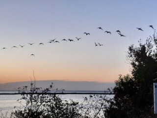 Abendstimmung in der Birk