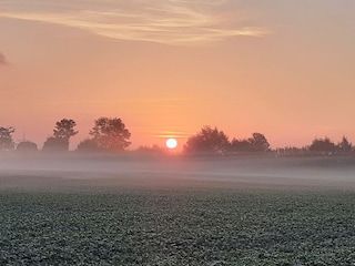 Morgenstimmung hinterm Haus