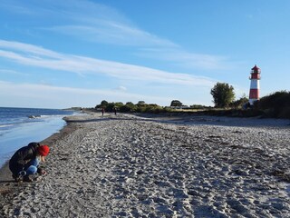 Strand am Leuchtturm Falshöft