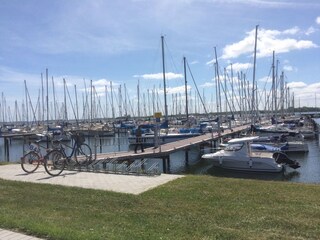 Yachthafen in Maasholm