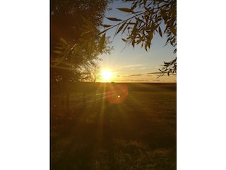 Sonnenaufgang Bodden