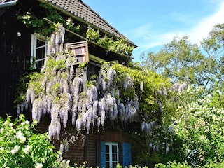 Künstlerhaus