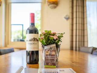 Villa De Koog Caratteristiche 9