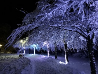 Abendromantik im Kurpark