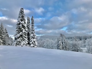 Wintertraum im Kurpark von Hahnenklee