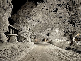 Wintermärchen direkt vor der Haustür