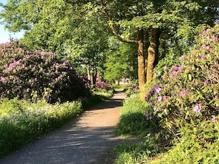 Hübsche Wanderwege mitten im Kurpark