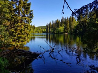 Waldseen rund um Hahnenklee