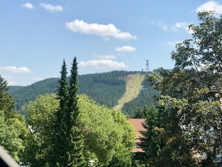 Ausblick vom Dachfenster (Schlafzimmer) zum Bocksberg