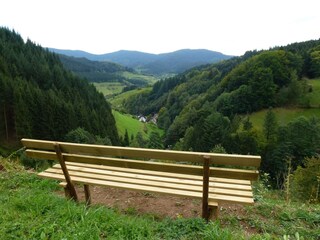 Apartamento de vacaciones Bad Peterstal-Griesbach Entorno 22