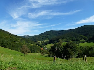 Wandern am "Griesbacher Wiesensteig"