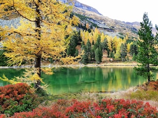 Herbst am Karwassersee