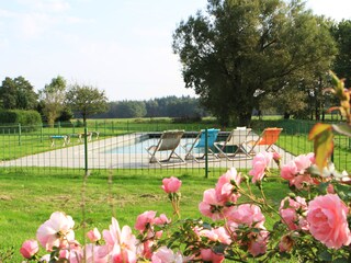 Appartamento per vacanze Sanitz Registrazione all'aperto 5