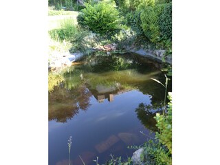 Gartenteich