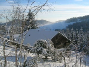 Chalet 'Willinger-Bergrausch' - Willingen - image1