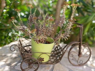 Maison de vacances Linardići Environnement 54