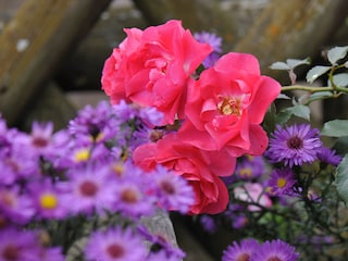 Apartamento de vacaciones Vintl Grabación al aire libre 10