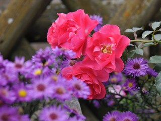 Holiday apartment Vintl Outdoor Recording 10