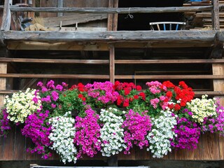 Appartamento per vacanze Vintl Ambiente 35