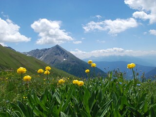 Appartamento per vacanze Vintl Ambiente 36