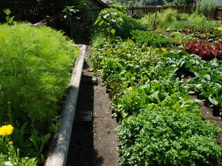 Appartamento per vacanze Vintl Registrazione all'aperto 14