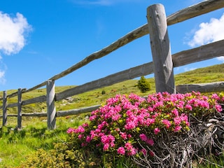 Appartamento per vacanze Vintl Ambiente 38