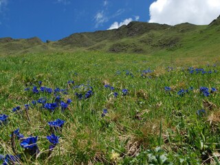 Appartement de vacances Vintl Environnement 27