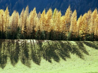 Appartamento per vacanze Vintl Ambiente 28