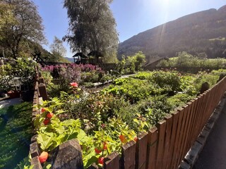 Unser Gemüsegarten