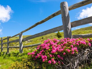 Appartamento per vacanze Vintl Ambiente 32