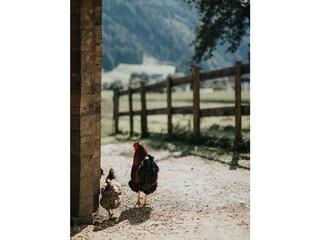 Appartamento per vacanze Vintl Ambiente 34