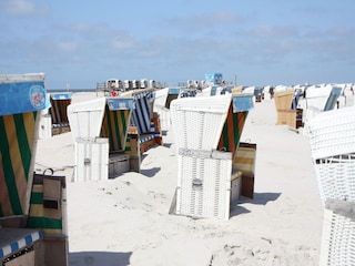 Ferienhaus St. Peter-Ording Umgebung 25