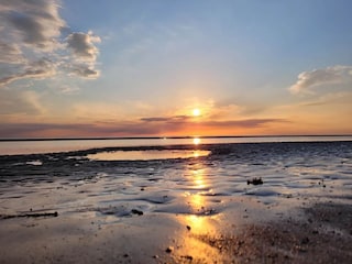 Appartement St. Peter-Ording Omgeving 30