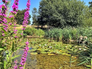 Vakantiehuis Norwich Buitenaudio-opname 13